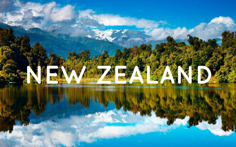 Tổng quan về du học bậc đại học tại New Zealand