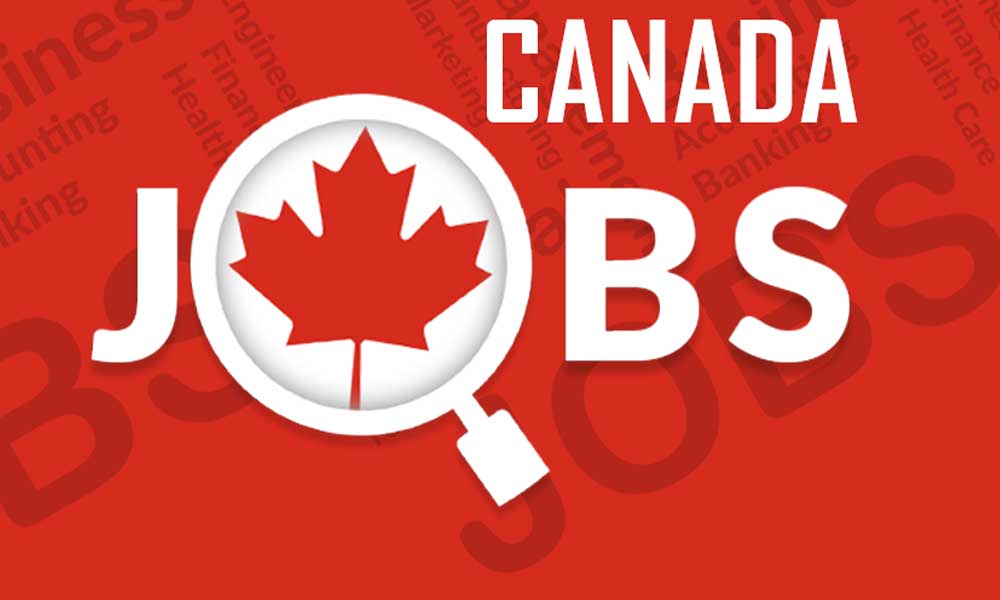 Top 20 ngành hot thu nhập tốt nhất và nhu cầu tuyển dụng cao nhất Canada
