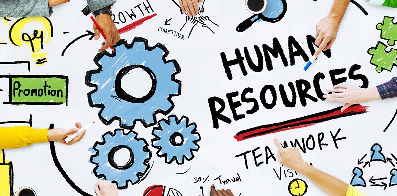 Du học Anh ngành quản trị nguồn nhân lực ngành học then chốt cho sự thành công của mọi...