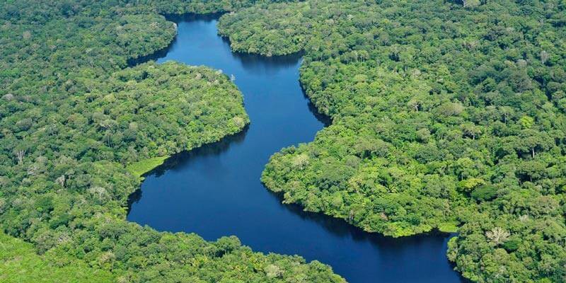 Du học Mỹ ngành Môi trường