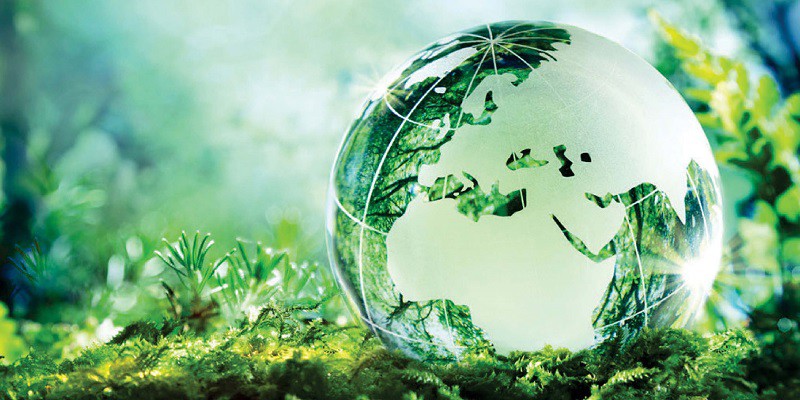 Du Học Hà Lan – Ngành Môi Trường (Environment) có mức lương hấp dẫn sau tốt nghiệp