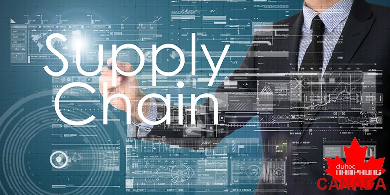 Du học ngành quản lý chuỗi cung ứng ở Canada