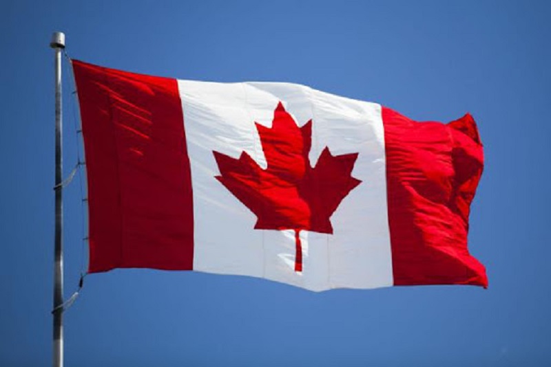 Tin mới nhất về visa Canada - Chính phủ Canada lên kế hoạch về việc mở cửa đón sinh viên quốc tế.