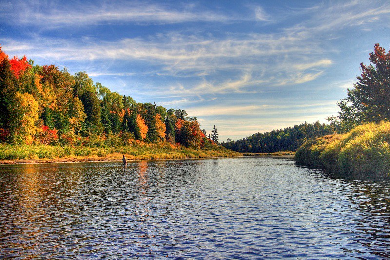 New Brunswick mùa Covid-19- Kế hoạch 3 giai đoạn “Path to green” được công bố, cùng ngày có 9 ca...