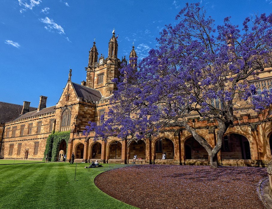 Braemar College nằm trong danh sách các trường OSSD được phê duyệt bởi Đại học Sydney