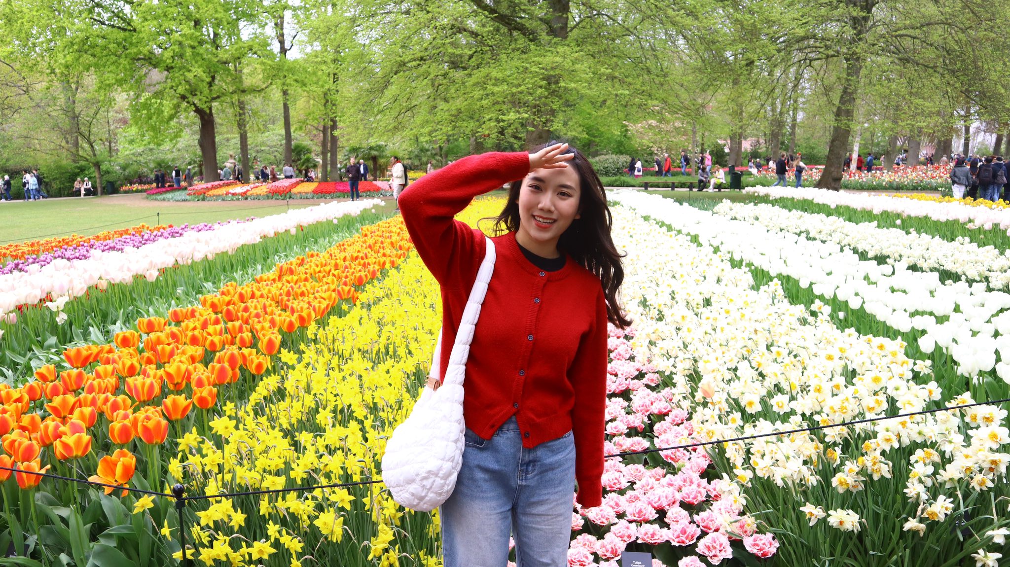 Phạm Hạnh Chi – Hành trình từ cô gái truyền thông năng động đến du học Master Media Innovation tại Breda University