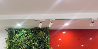 Nguyễn Quỳnh Trang - Hành trình chọn lựa kỹ càng đến Hà Lan của cô gái chín chắn, trưởng thành vừa hoàn thành chương trình trung học phổ thông