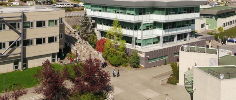 Lưu Thể Ngọc - Hành trình trở thành tân sinh viên chương trình MBA tại trường Vancouver Island University Canada