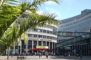 Hà Trác Di – Hành trình từ THPC đến học bổng quốc tế tại The Hague