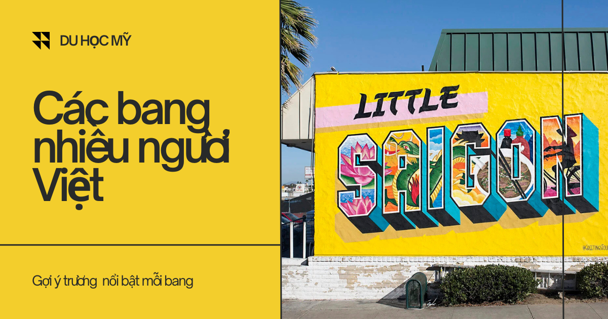 Du học Mỹ tại các bang nhiều người Việt