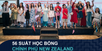 Học bổng giá trị 50% học phí từ Chính phủ New Zealand (NZSS) dành cho bậc THPT 2026