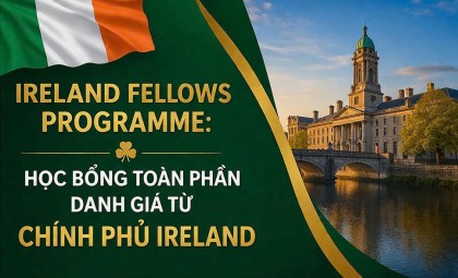 Ireland Fellows Programme: Học bổng toàn phần danh giá từ Chính phủ Ireland