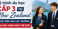 Lộ trình du học cấp 3 (Trung học) tại New Zealand: Bước đệm vào đại học Top đầu thế giới