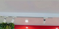 Phạm Phương Trang – Tân sinh viên trường cao đẳng Seneca Polytechnic