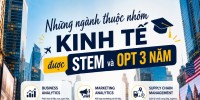 Ngành Business nào có thể học STEM tại Mỹ?
