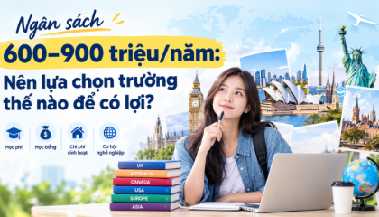    Ngân sách 600–900 triệu/năm: Nên lựa chọn trường thế nào để có lợi?