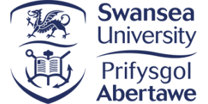 Postgraduate International Excellence Scholarship (South Asia)
