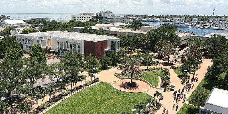 Trường Đại học University of South Florida (USF) | duhocnamphong.vn
