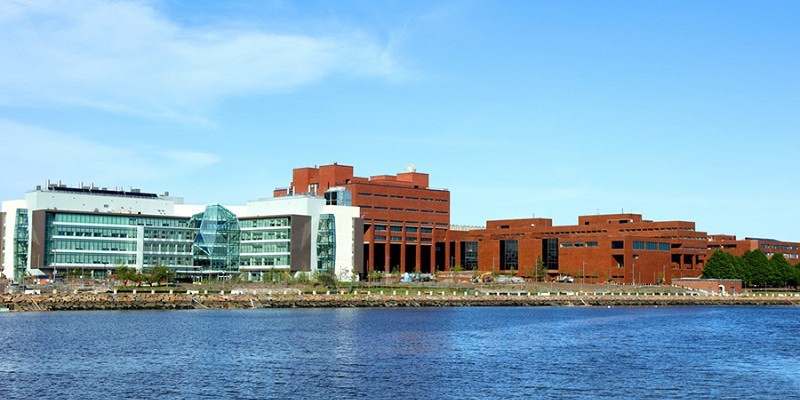 Trường Đại học University of Massachusetts Boston | duhocnamphong.vn