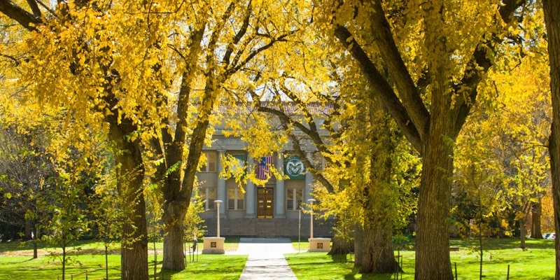 Dai hoc Colorado State University