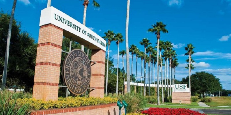 San hoc bong My_University of South Florida