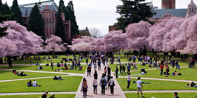 Trường Đại học University of Washington