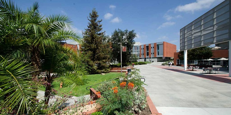 Truong CC Palomar College_2