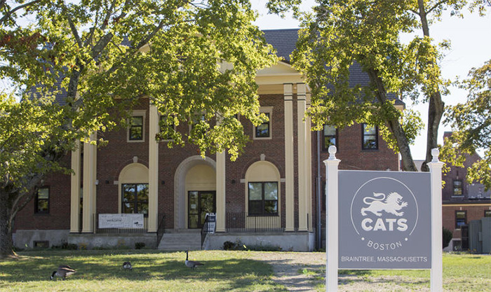 CATS College Boston